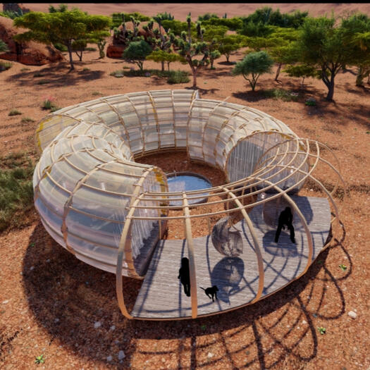 Quiver lodge I received the highest average in the quiver tree lodges competition for creativity, aesthetic design, and experience.